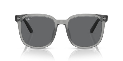 Ray-Ban RB4401D outlook