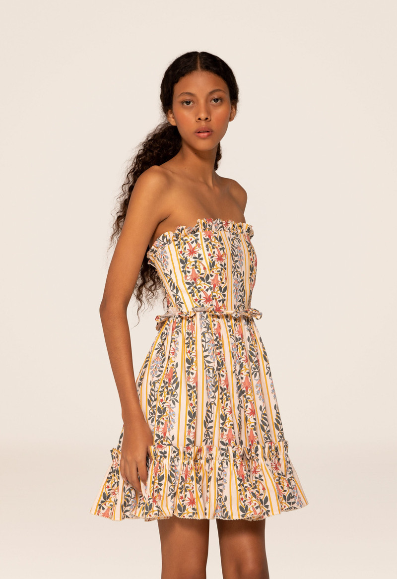 Rosa Lluvia Floral Mini Dress 5