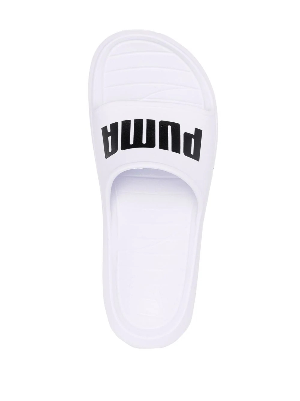 Divecat V2 slides - 4
