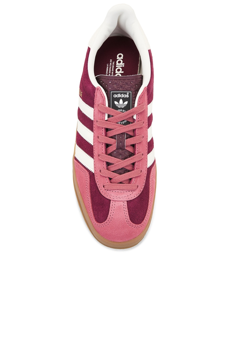 Gazelle Indoor - 4