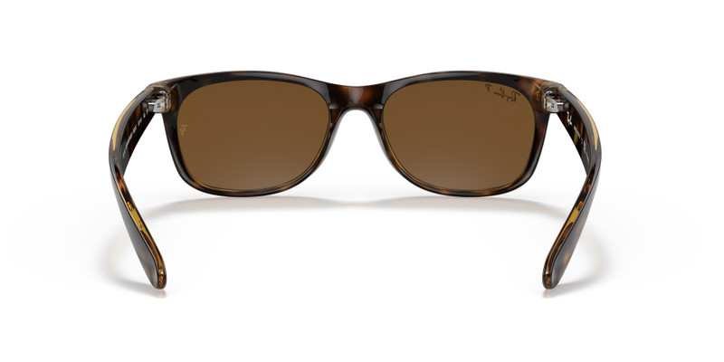 NEW WAYFARER CLASSIC 6