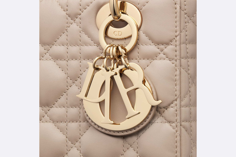 Small Lady Dior My ABCDior Bag 5