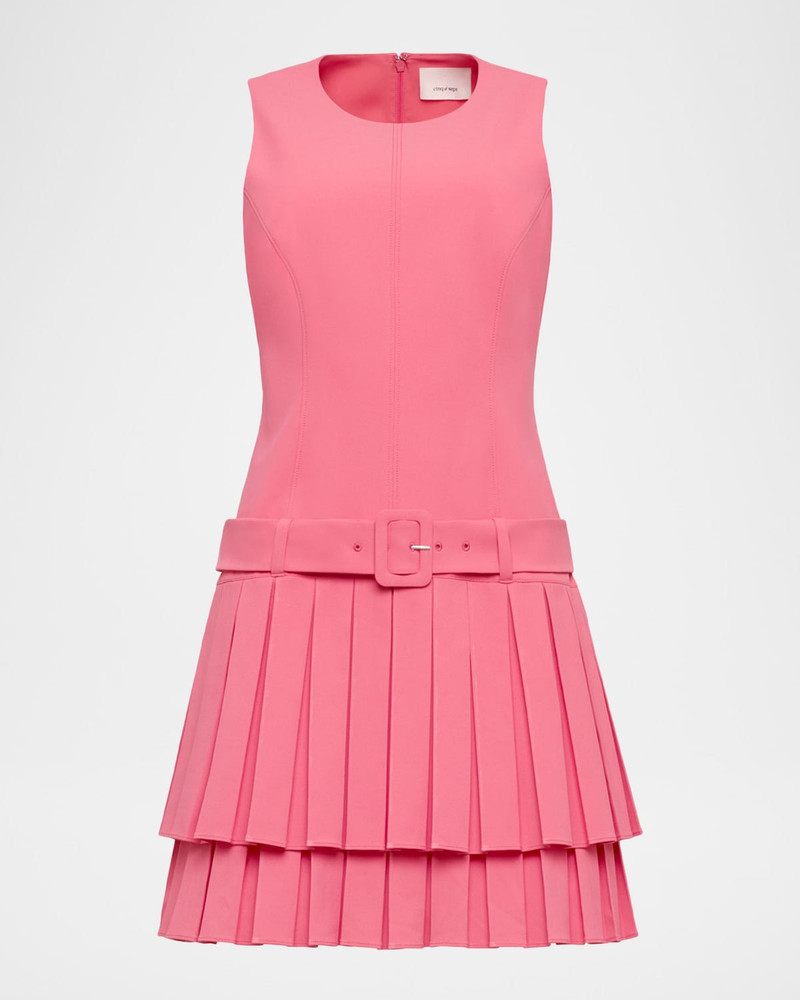 Reena Belted Sleeveless Pleated Mini Dress 1