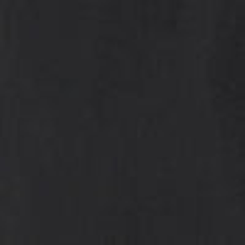 Gunther Short in Silk and Nylon 5