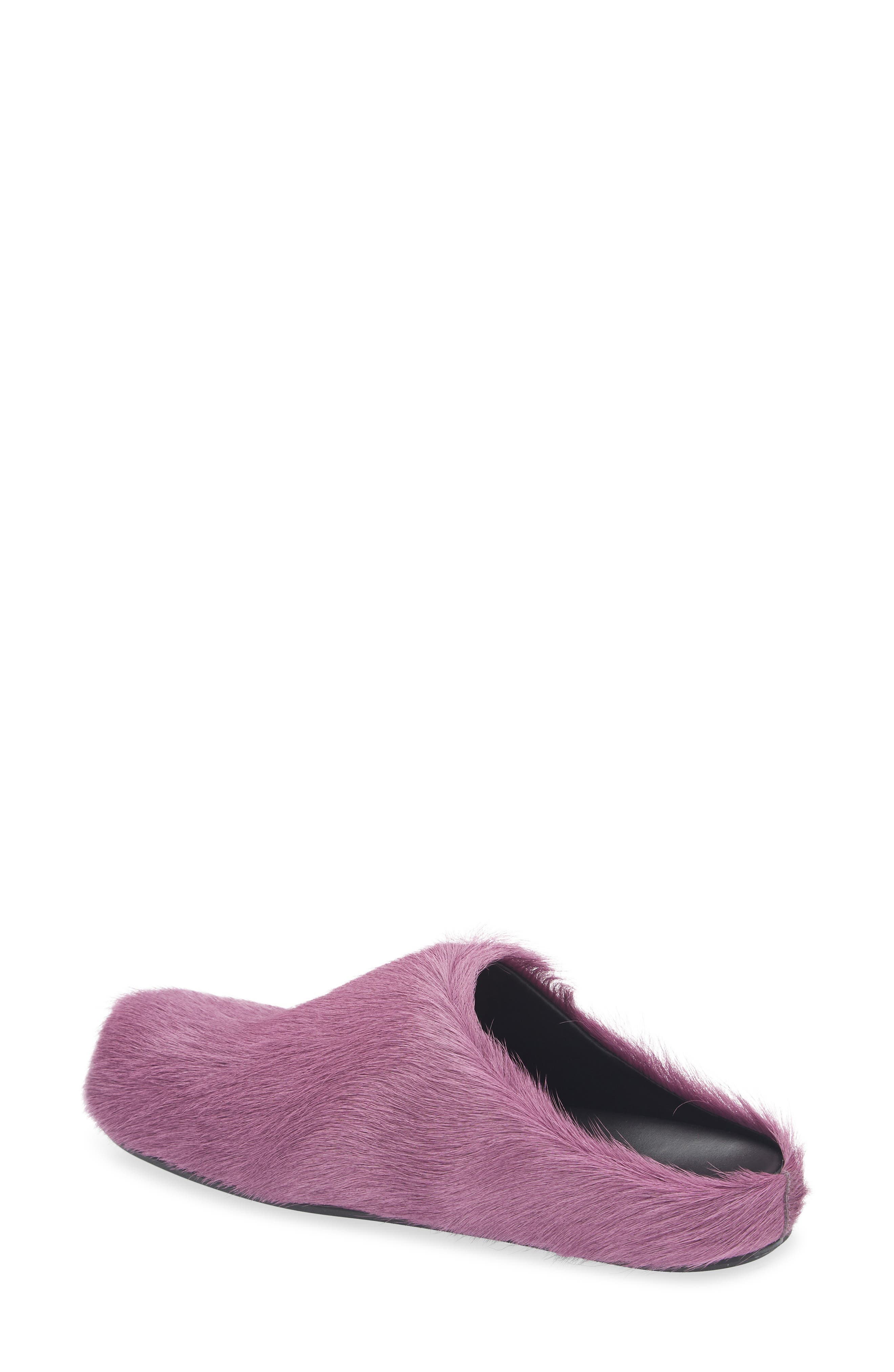 Marni Fussbett Sabot Genuine Calf Hair Clog in Purple at Nordstrom - 2