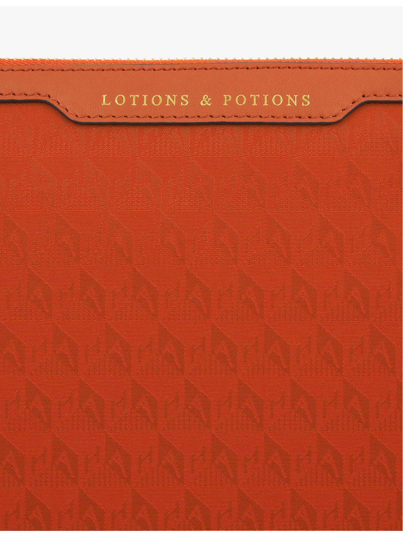 Anya Hindmarch Lotions and Potions shell and leather washbag outlook