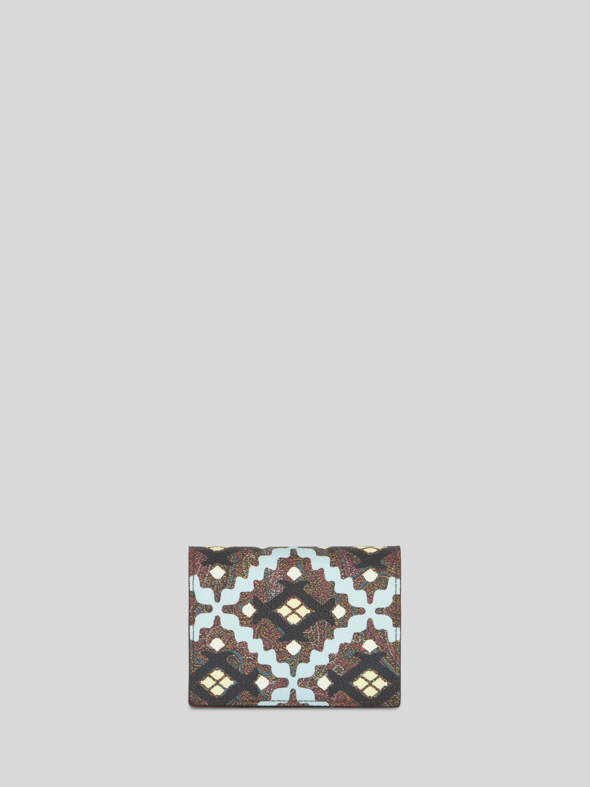 GEOMETRIC PRINT PAISLEY CARD HOLDER - 2