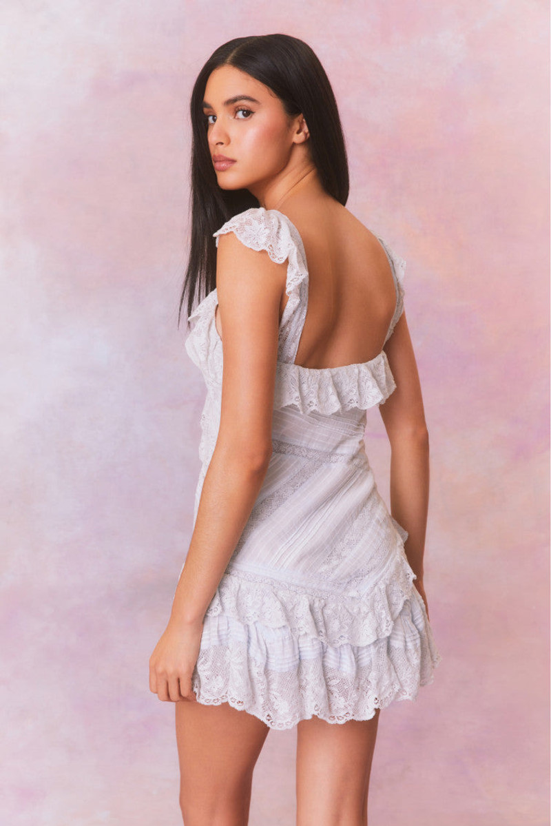 Bensley Fitted Lace Mini Dress 7
