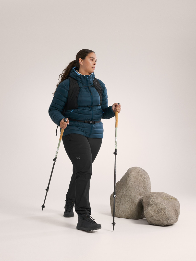 Arc'teryx Cerium Hoody outlook