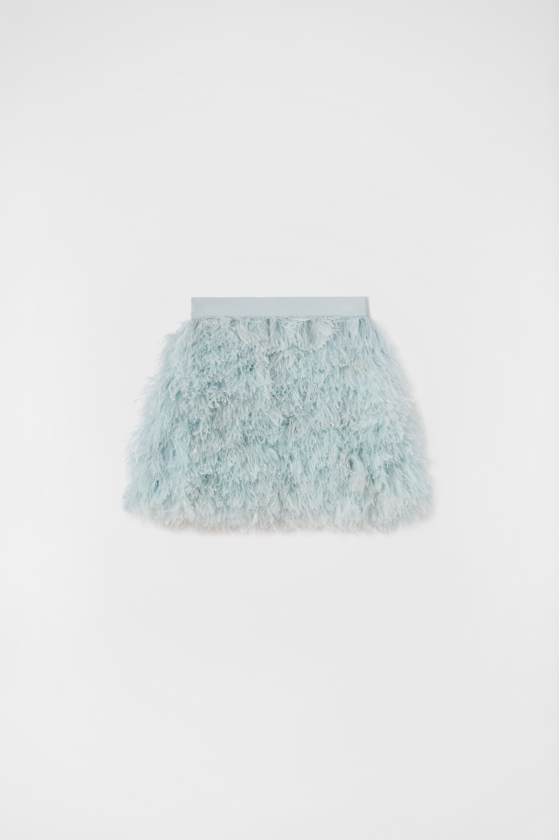 Mini Skirt - 1