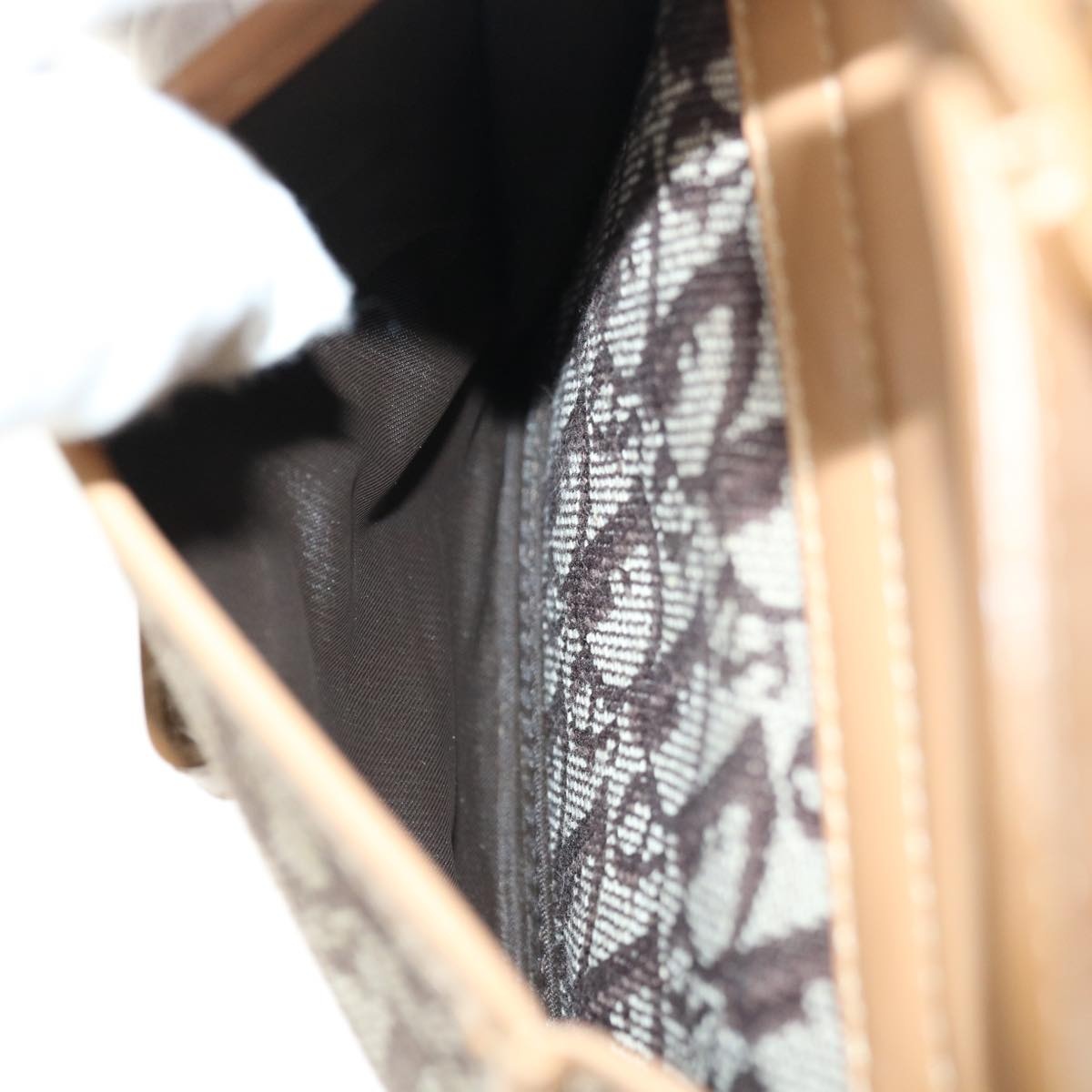 DIOR Trotter Canvas Hand Bag Beige - 11