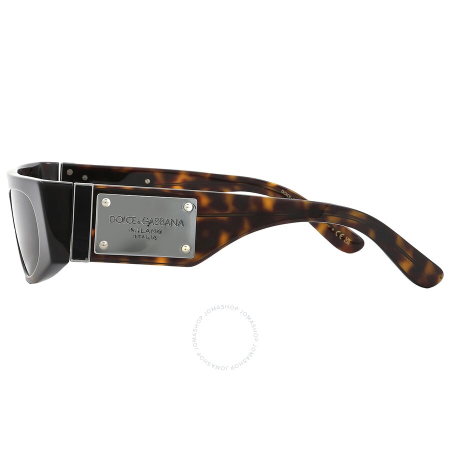 Dolce and Gabbana Dark Brown Browline Ladies Sunglasses DG4411 502/73 54 - 4