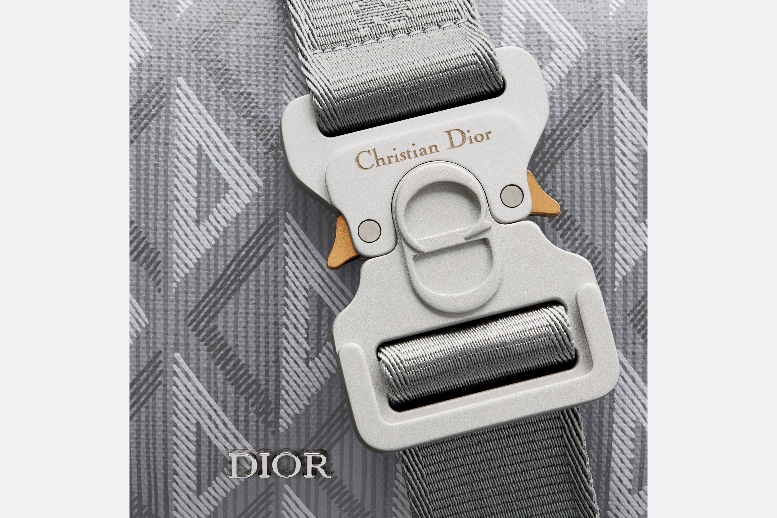 Dior Lingot 22 Bag - 5