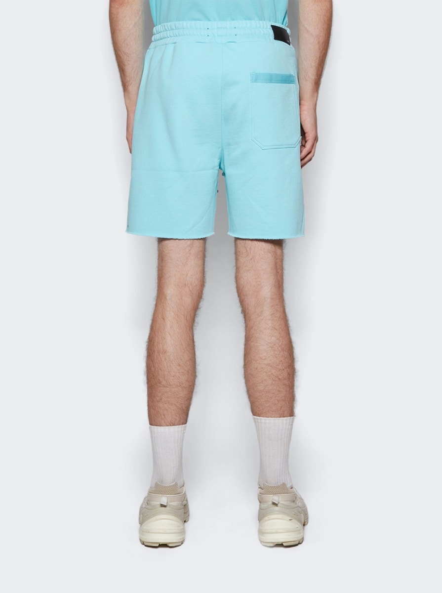 Tonal MA Sweatshort Aqua - 5