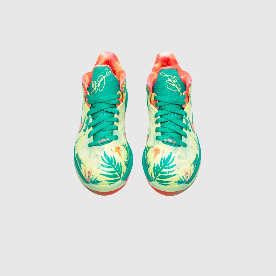 LEBRON IX LOW "LeBRONALD PALMER" - 3