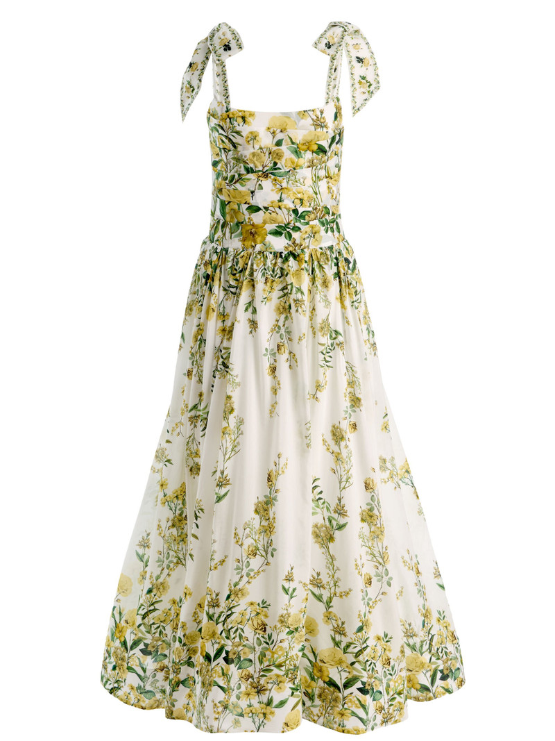 HAVEN FLARED MAXI DRESS 1