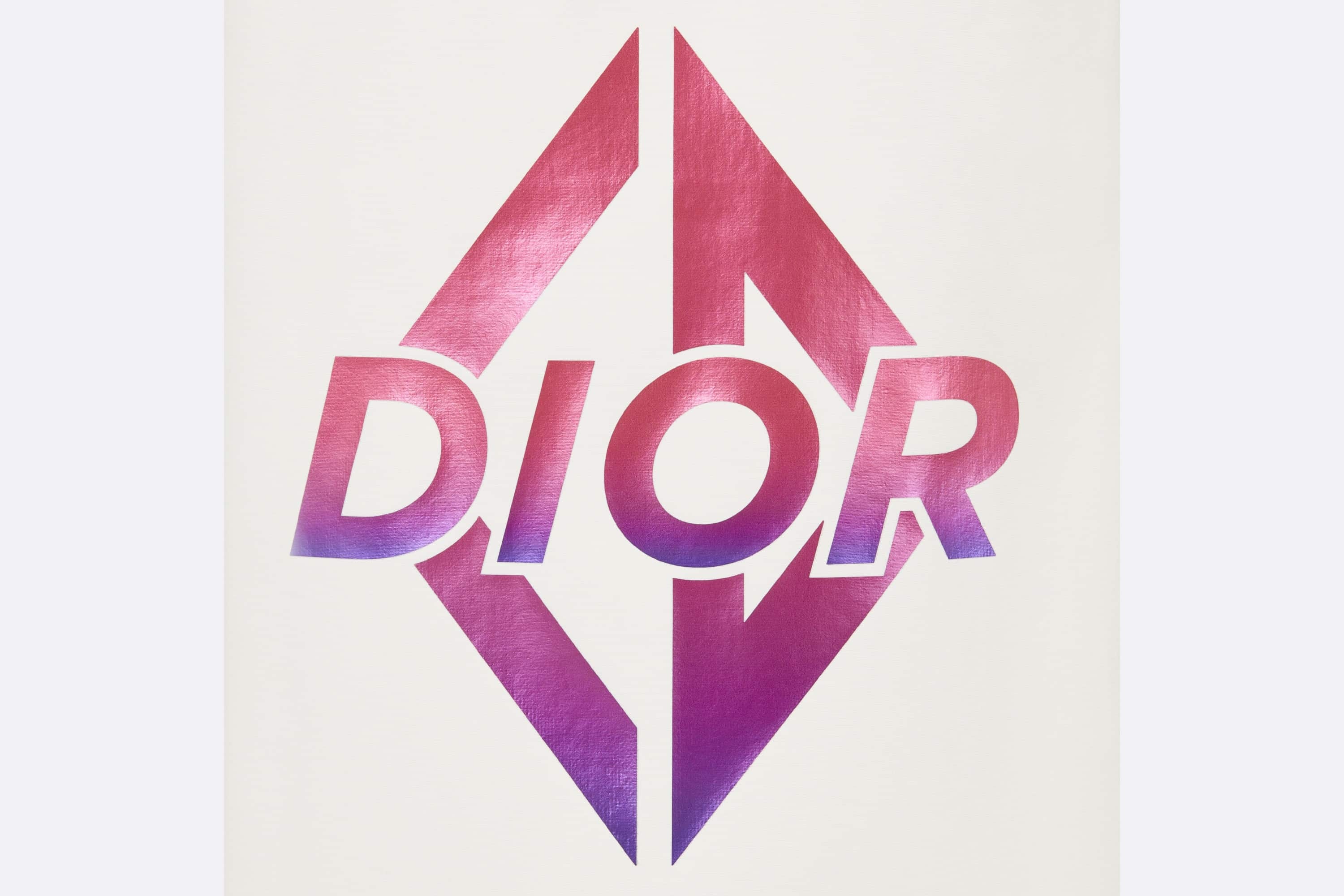 DIOR AND DESCENTE Ski Pants - 3