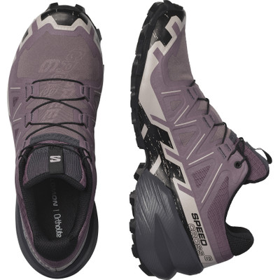 SALOMON SPEEDCROSS 6 outlook