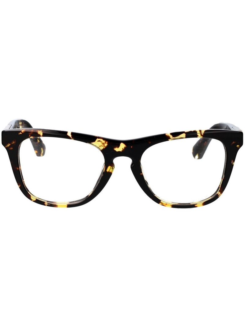 tortoiseshell-effect frames 1