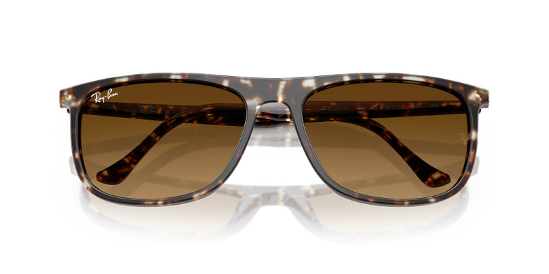 Ray-Ban RB2216 outlook