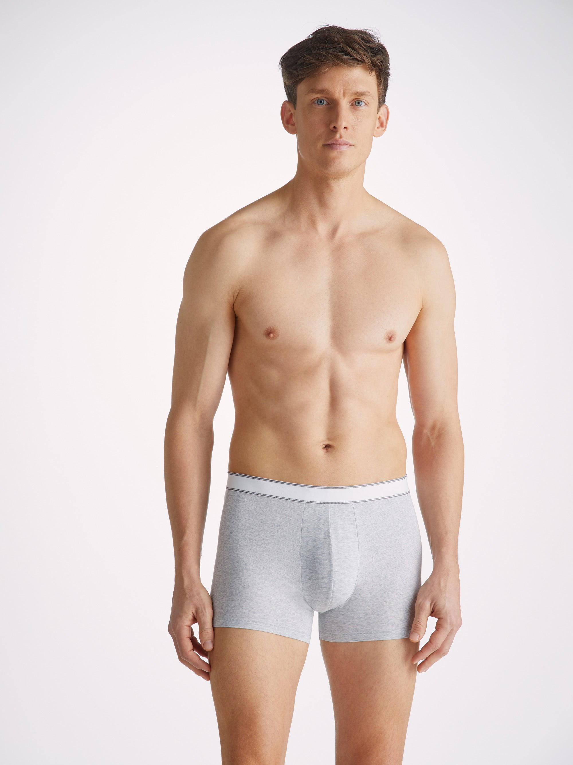 Men's Boxer Briefs Ethan Micro Modal Stretch Silver - 8