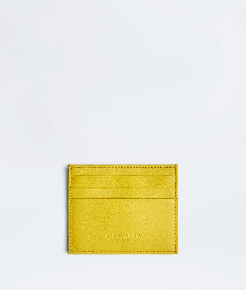 credit card holder - 1