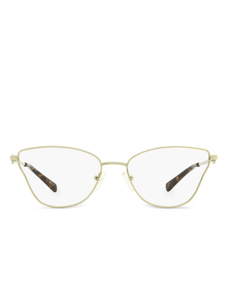 Toulouse glasses 1
