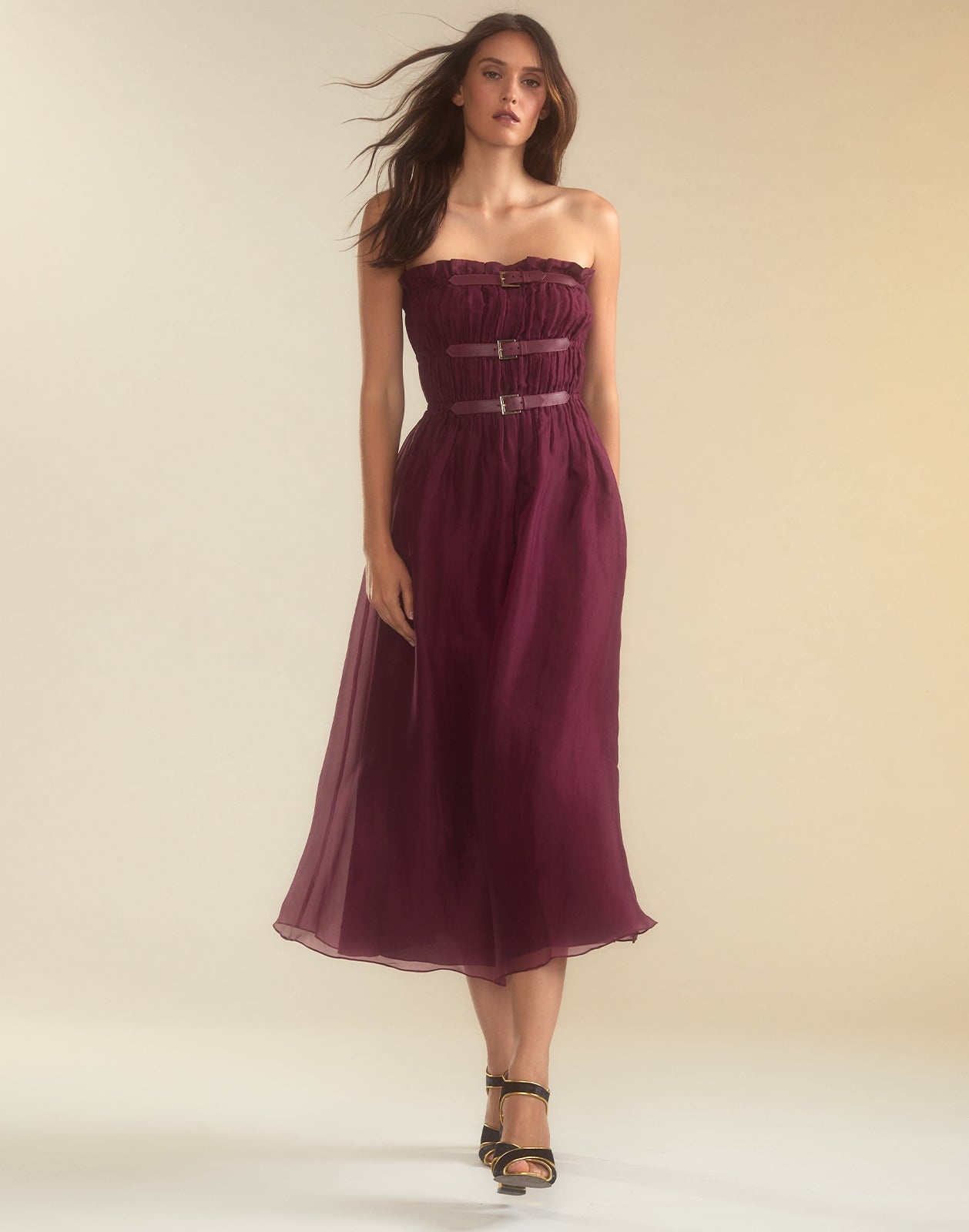 Buckle Up Silk Organza Dress - 2