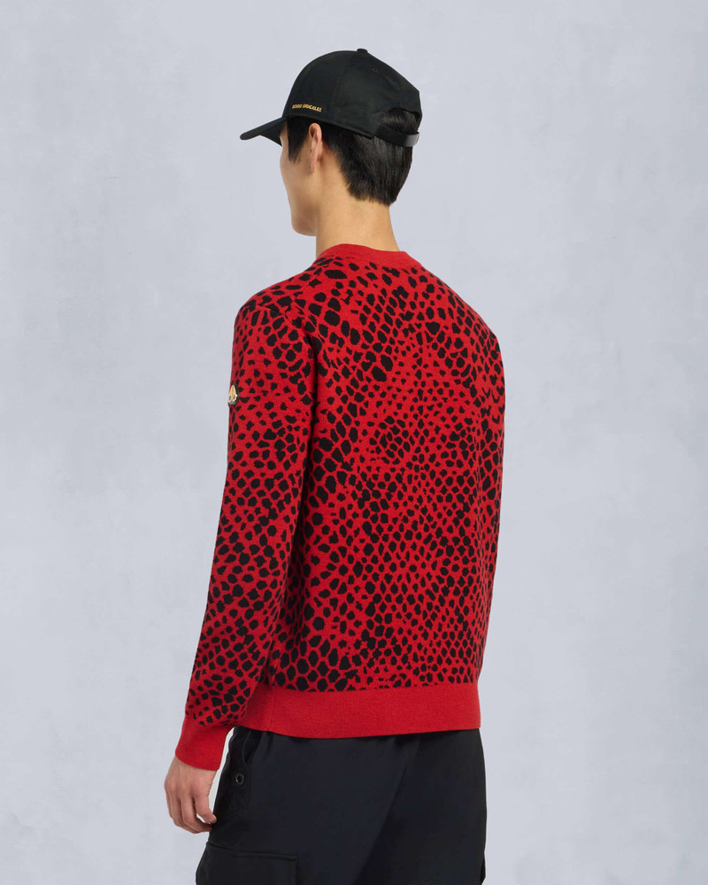 LUNAR NEW YEAR SNAKE SKIN SWEATER 4
