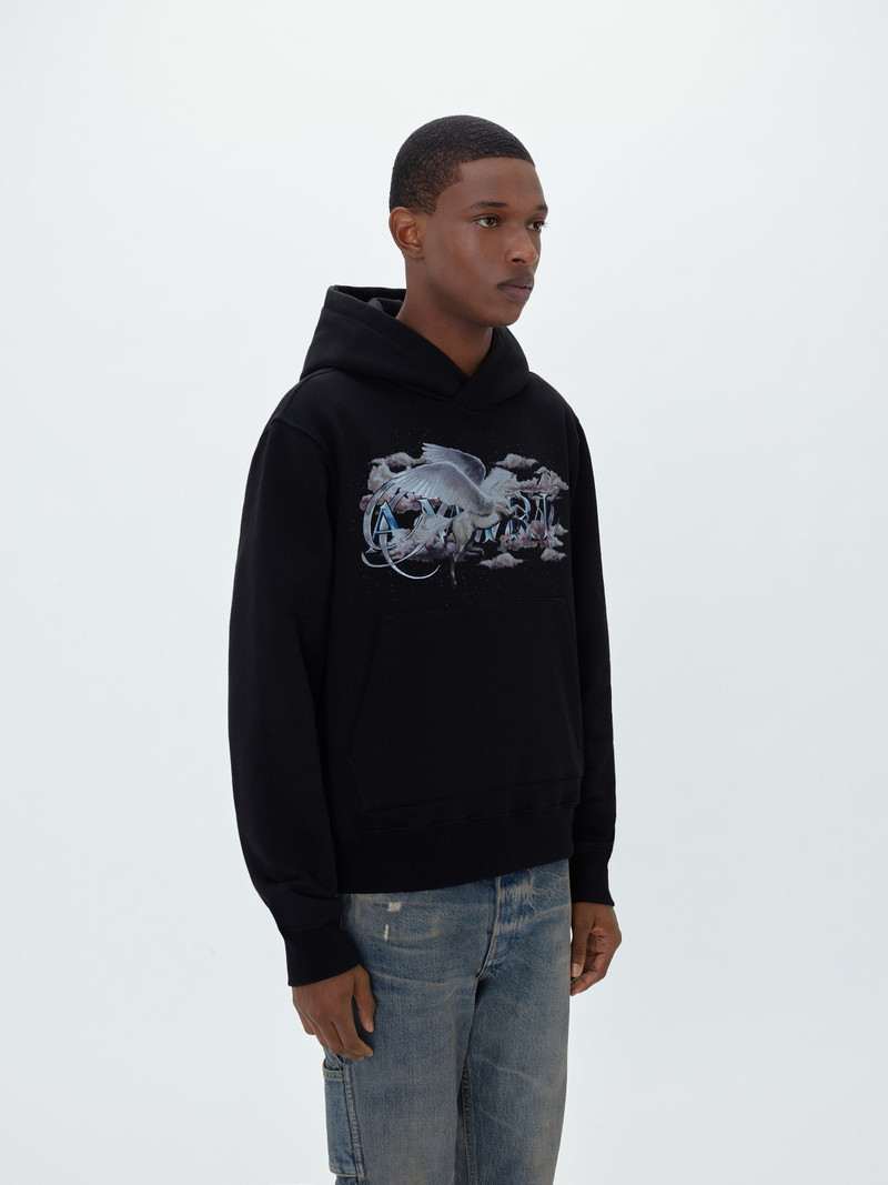 AMIRI PEGASUS SCRIPT HOODIE outlook