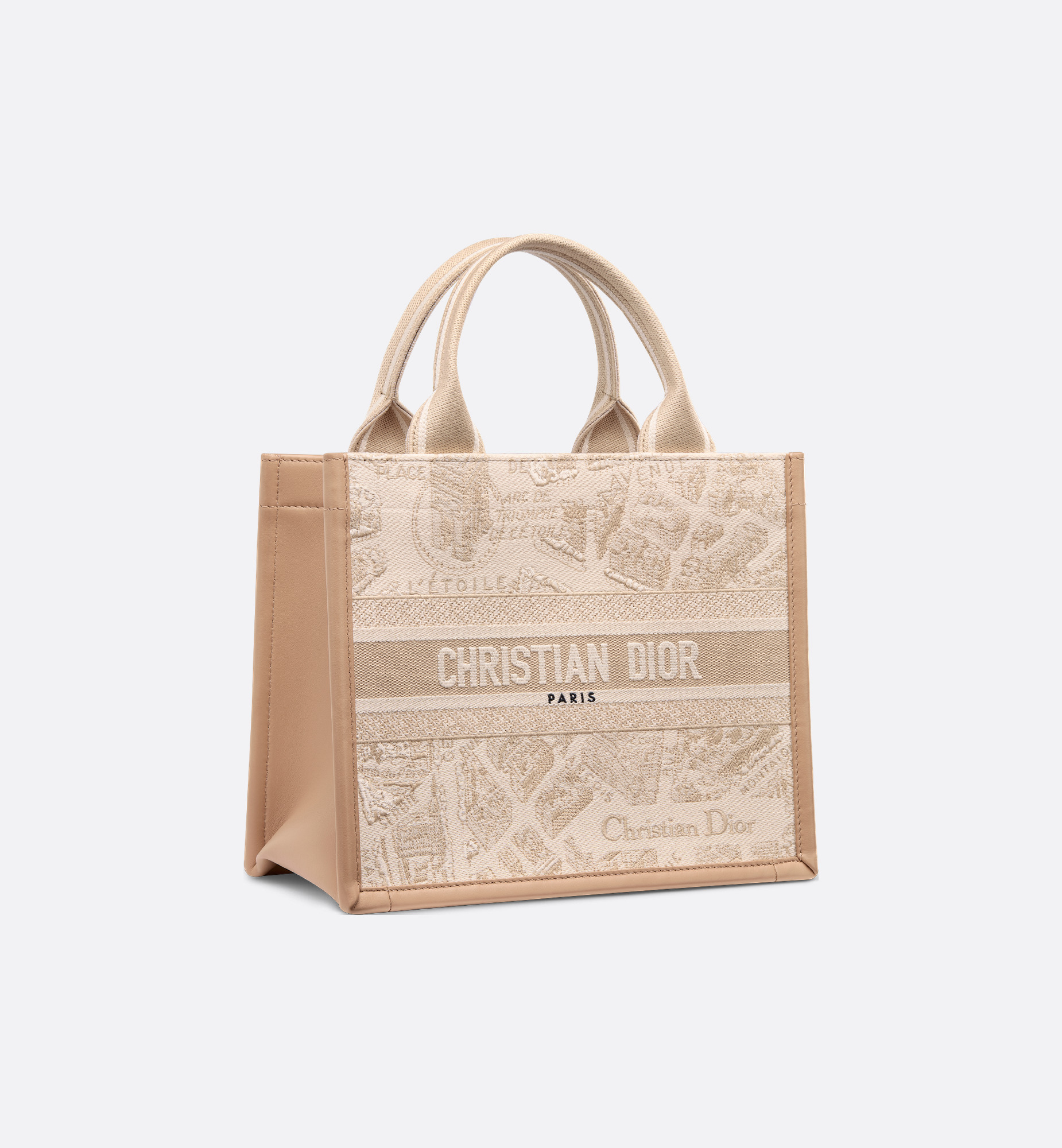 Small Dior Book Tote - 3