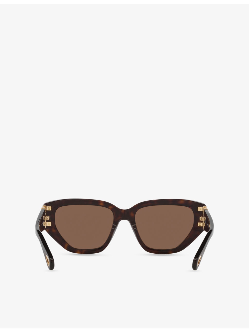 CH0235S Cat-Eye Acetate Sunglasses - 4