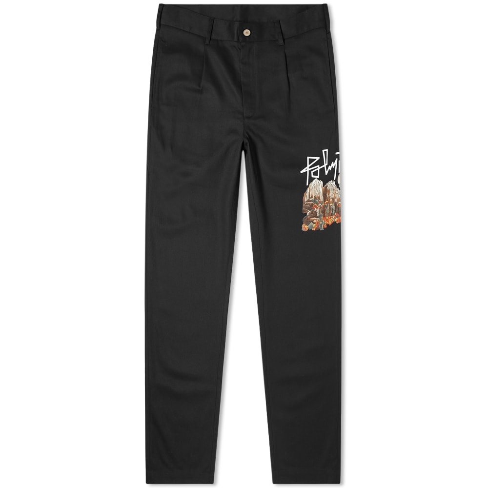 Palm Angels Desert Skull Chino - 1