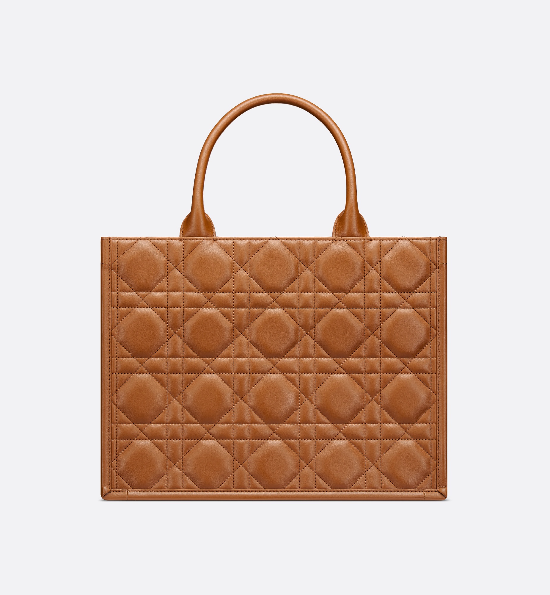 Medium Dior Book Tote - 2