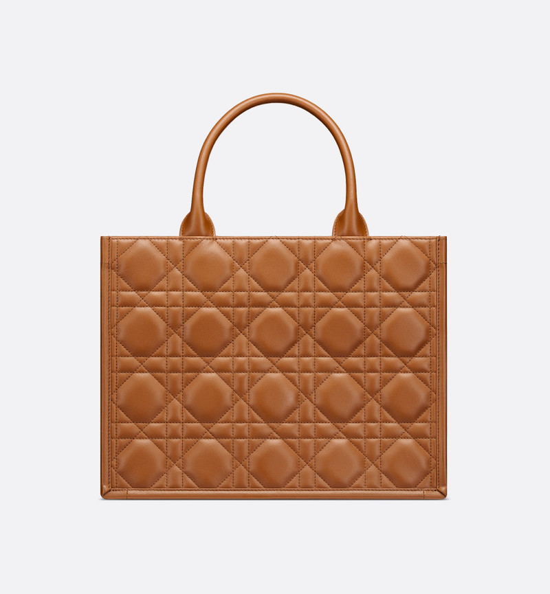 Dior Medium Dior Book Tote outlook