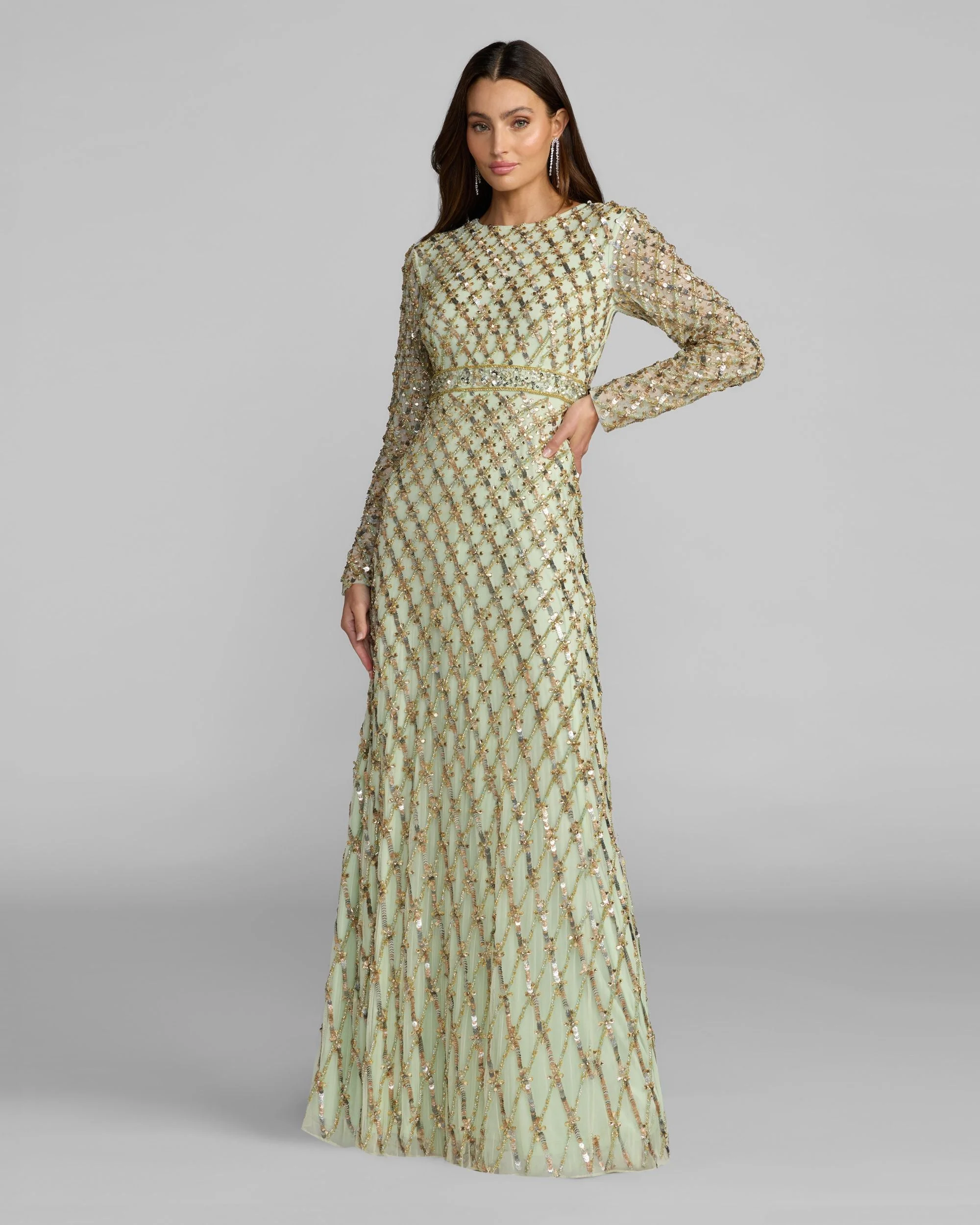 Sage Green Long Sleeve High Neck Embellished Gown - 1