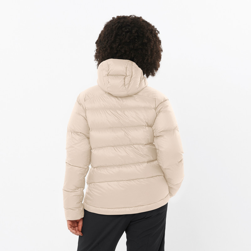 SALOMON OUTLINE DOWN outlook