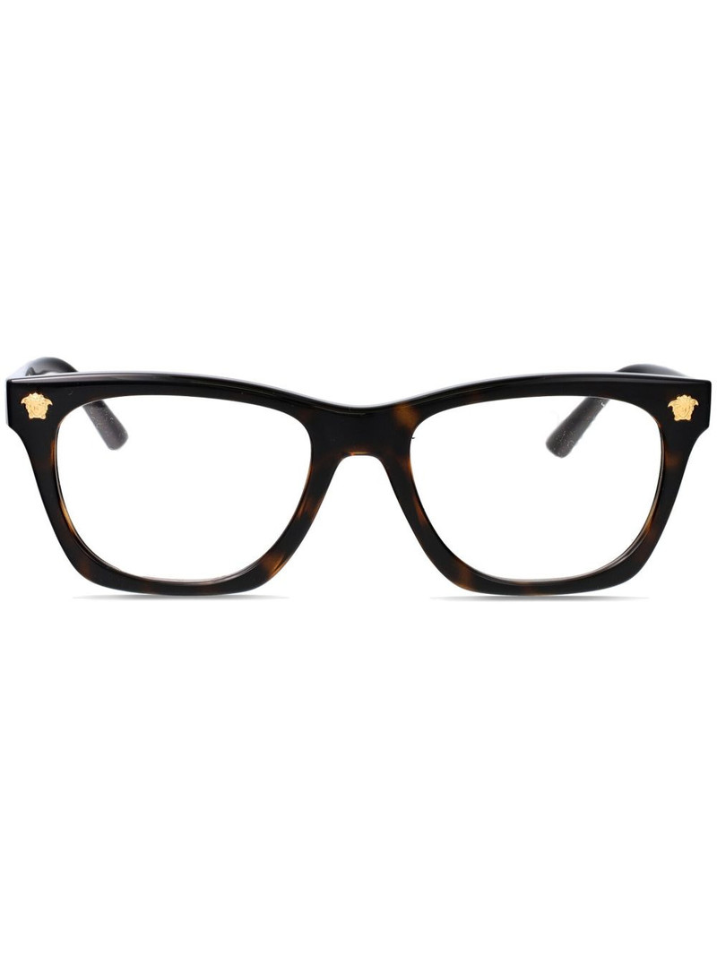 Medusa-plaque glasses 1