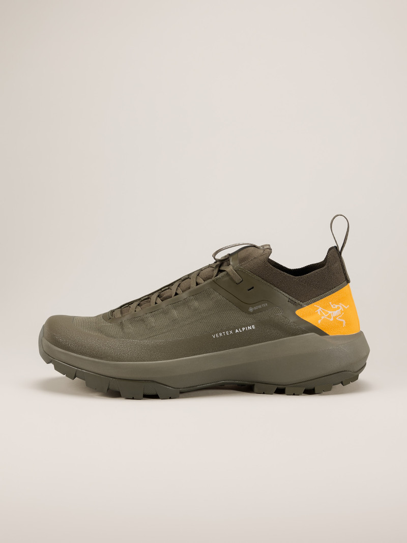Vertex Alpine GTX Shoe 1