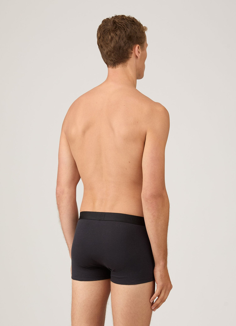 Sunspel Sea Island Cotton Trunks outlook