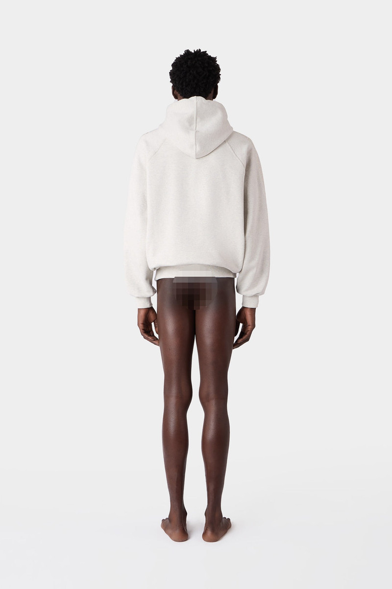 EMBROIDERED EIWS HOODIE / light grey melange 8