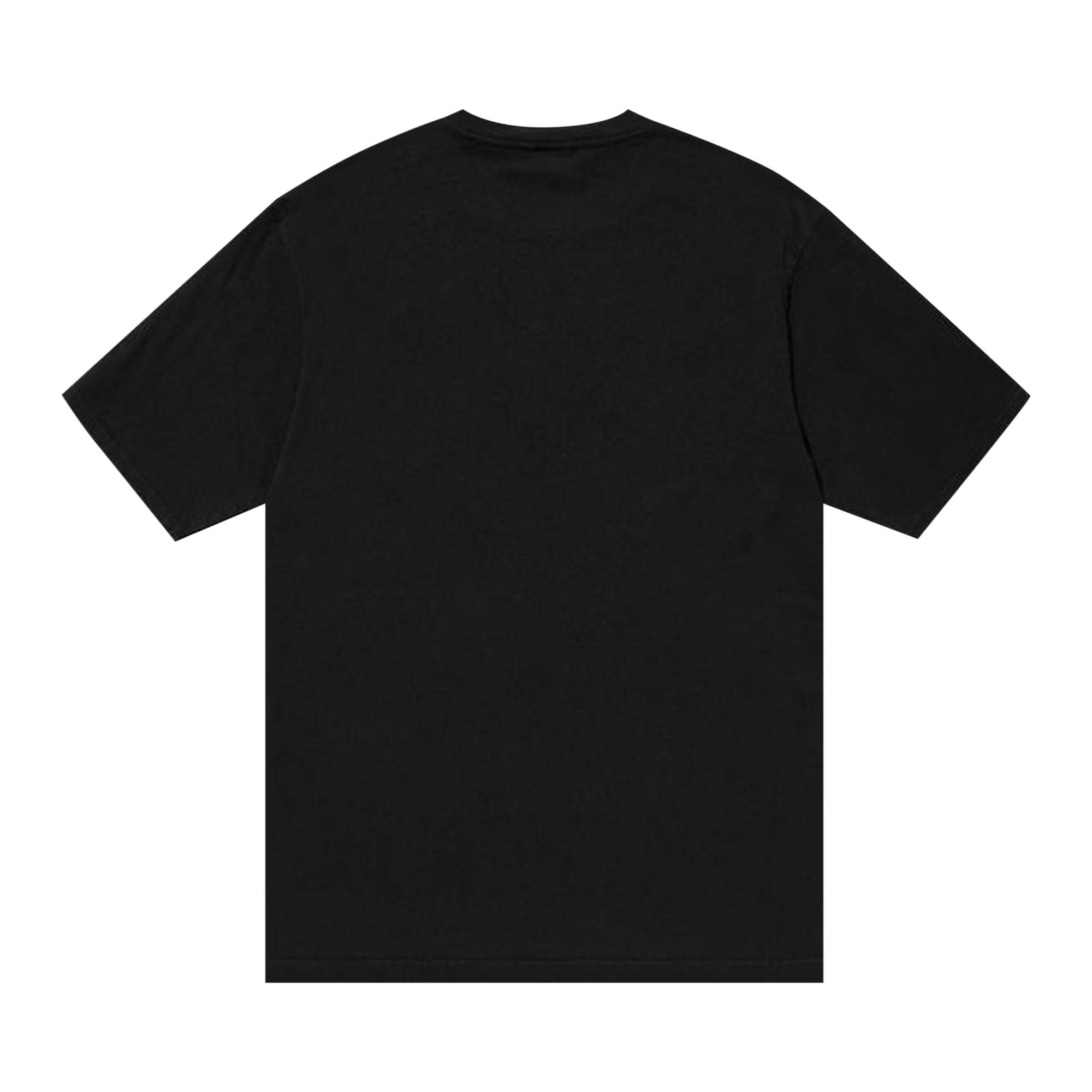 Stussy Champion Pigment Dyed Tee 'Black' - 2