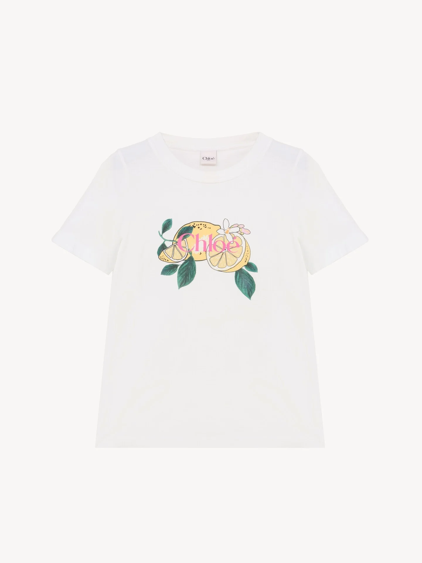 CREW-NECK LOGO T-SHIRT IN COTTON JERSEY - 1