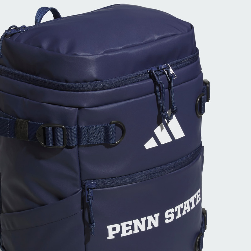 Collegiate Vista Backpack 3