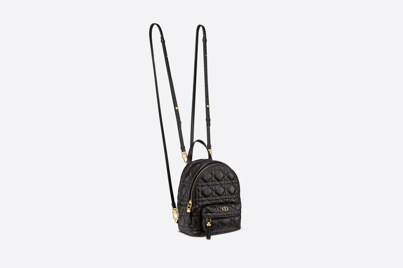 Mini Dior Backpack 4