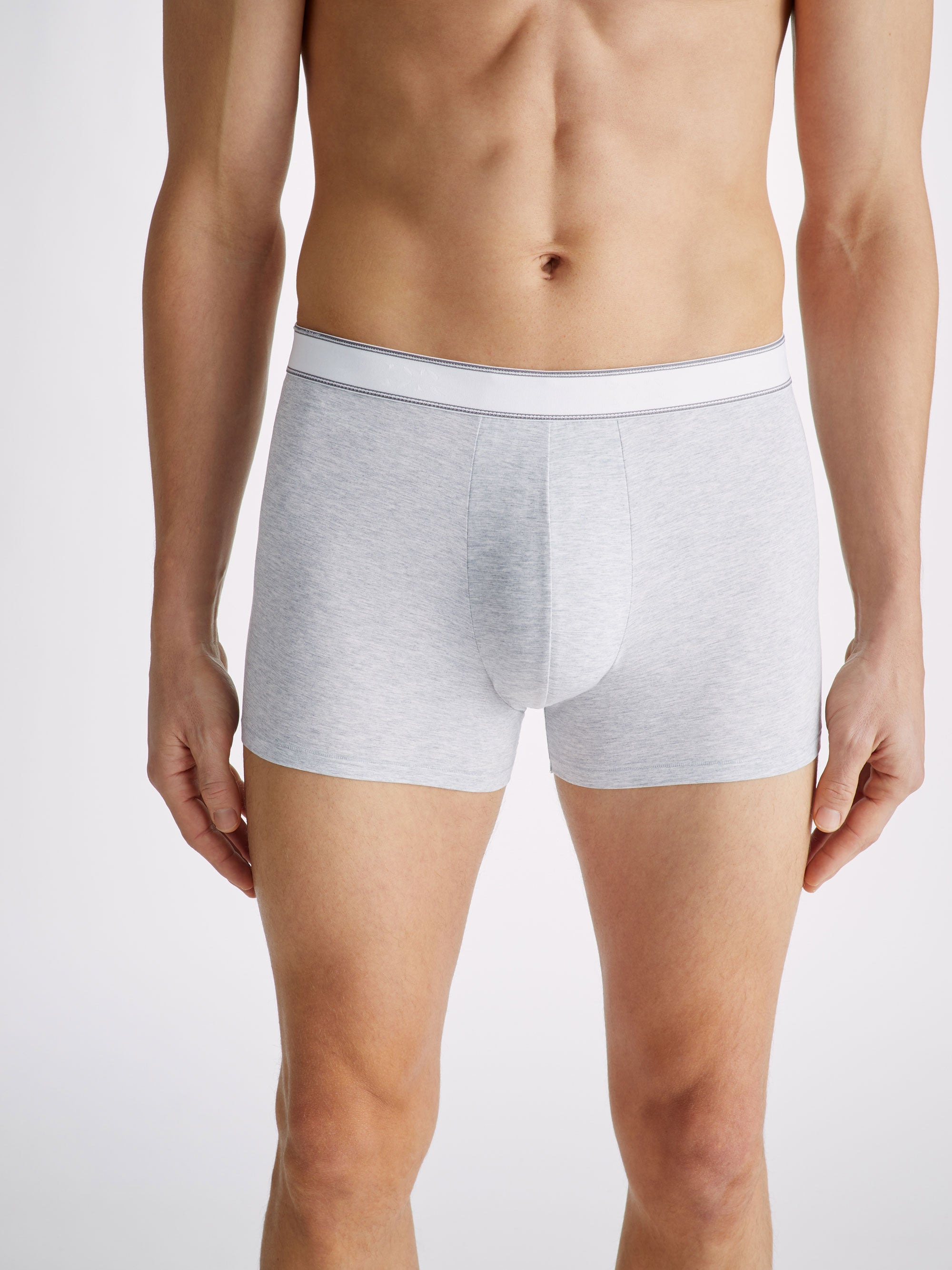 Men's Boxer Briefs Ethan Micro Modal Stretch Silver - 6
