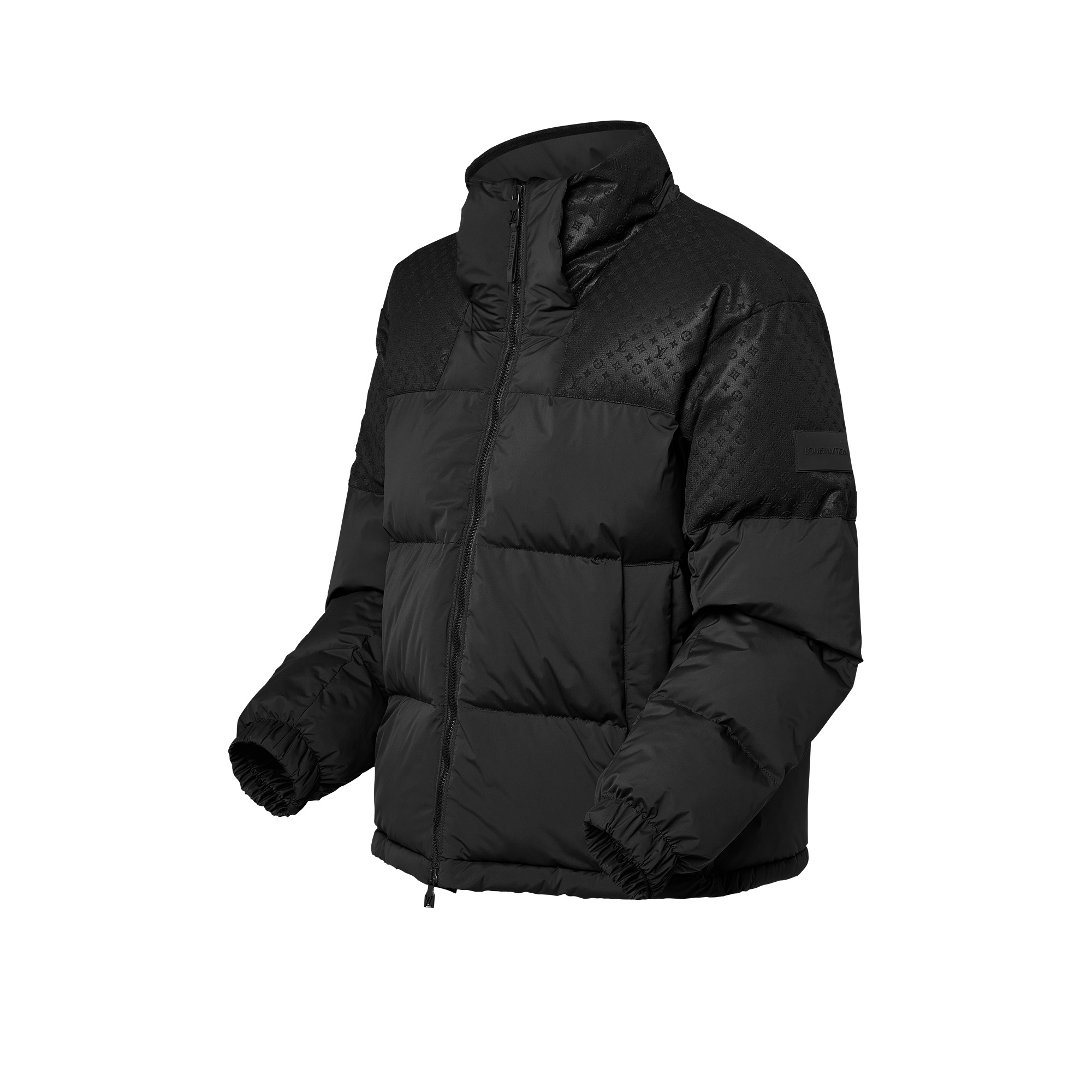 Placed Monogram Ecodown Blouson - 4
