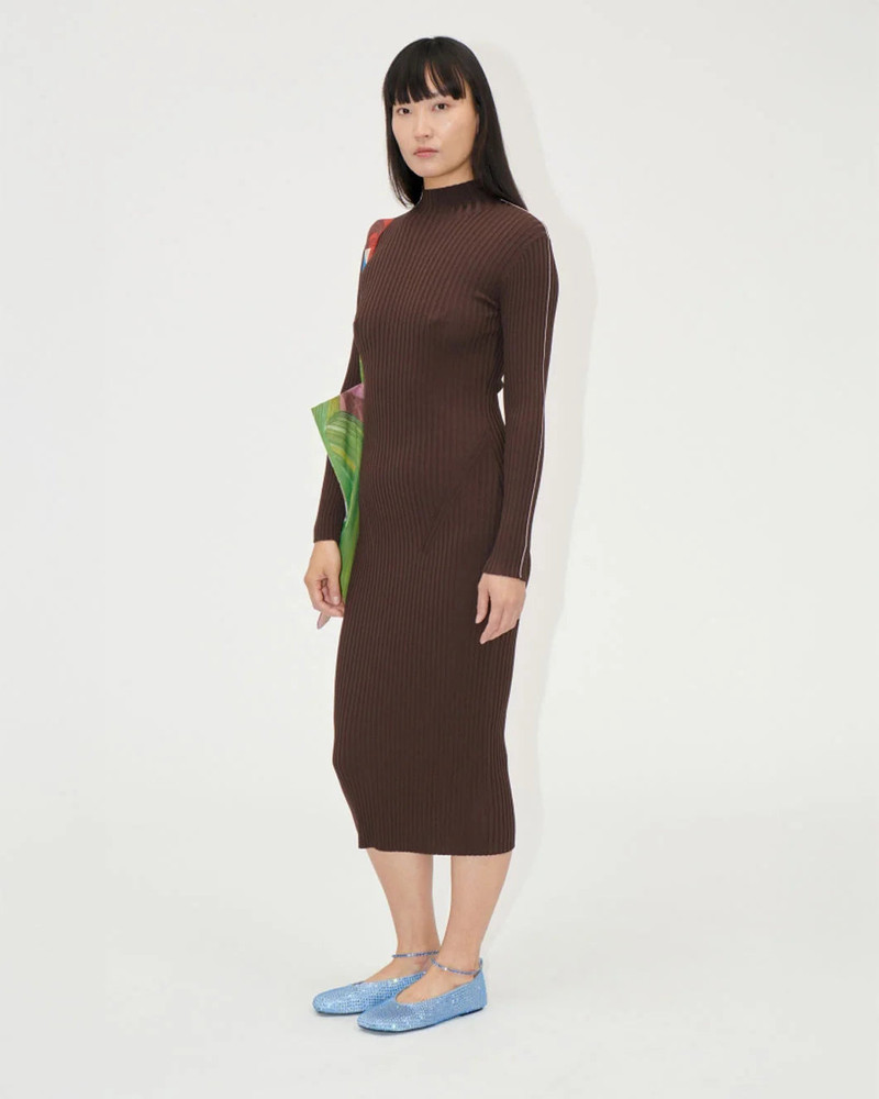 STINE GOYA LONG SLEEVE TURTLENECK KNIT DRESS COFFEE BROWN outlook