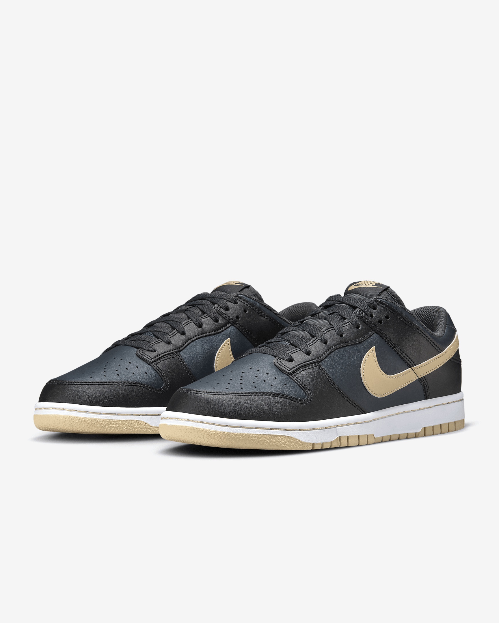 Nike Dunk Low Retro Men's Shoes - 5