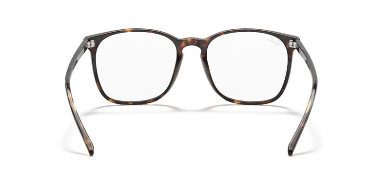 RB5387 OPTICS 6